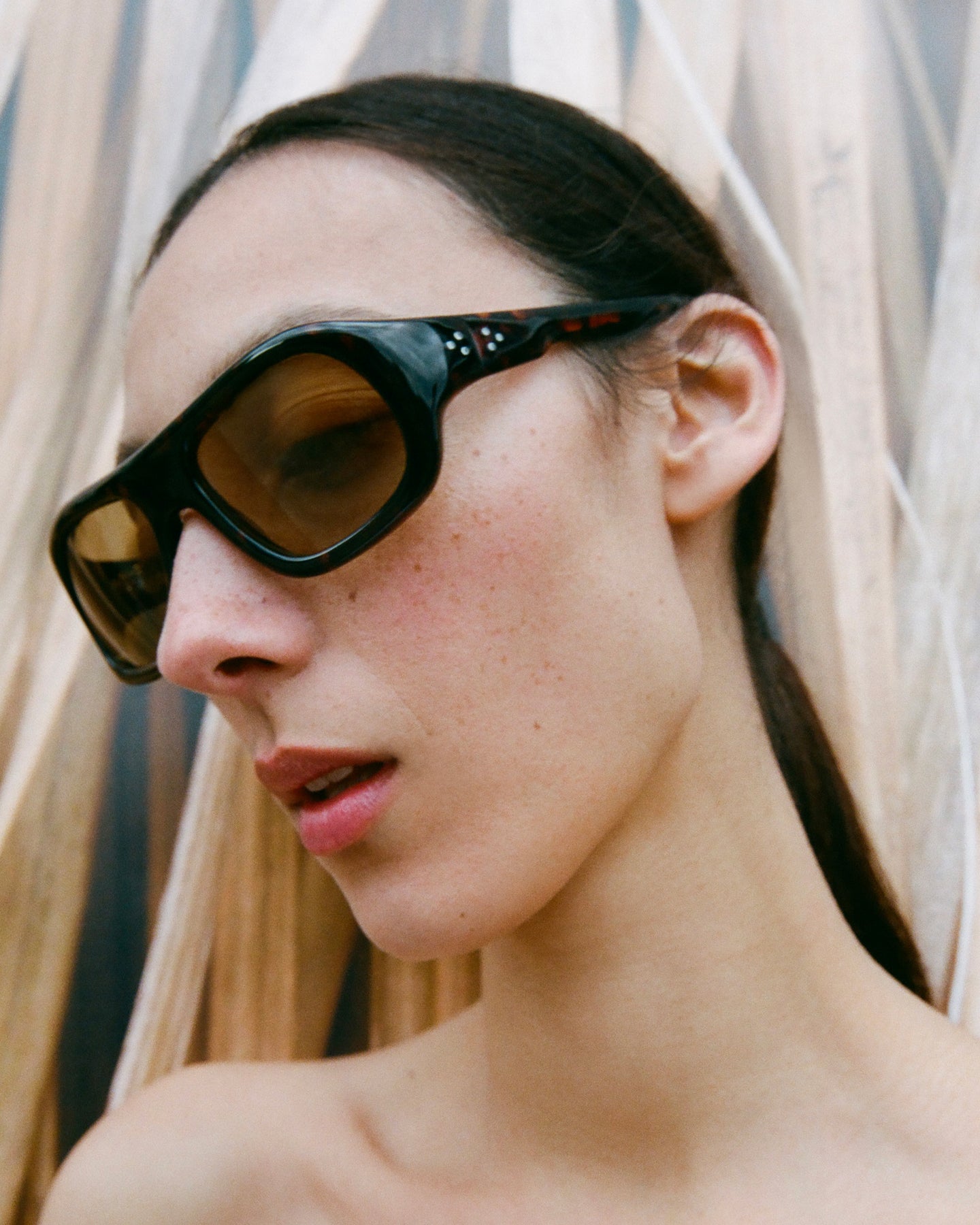 Port Tanger Luxury Eyewear | Handmade in Japan