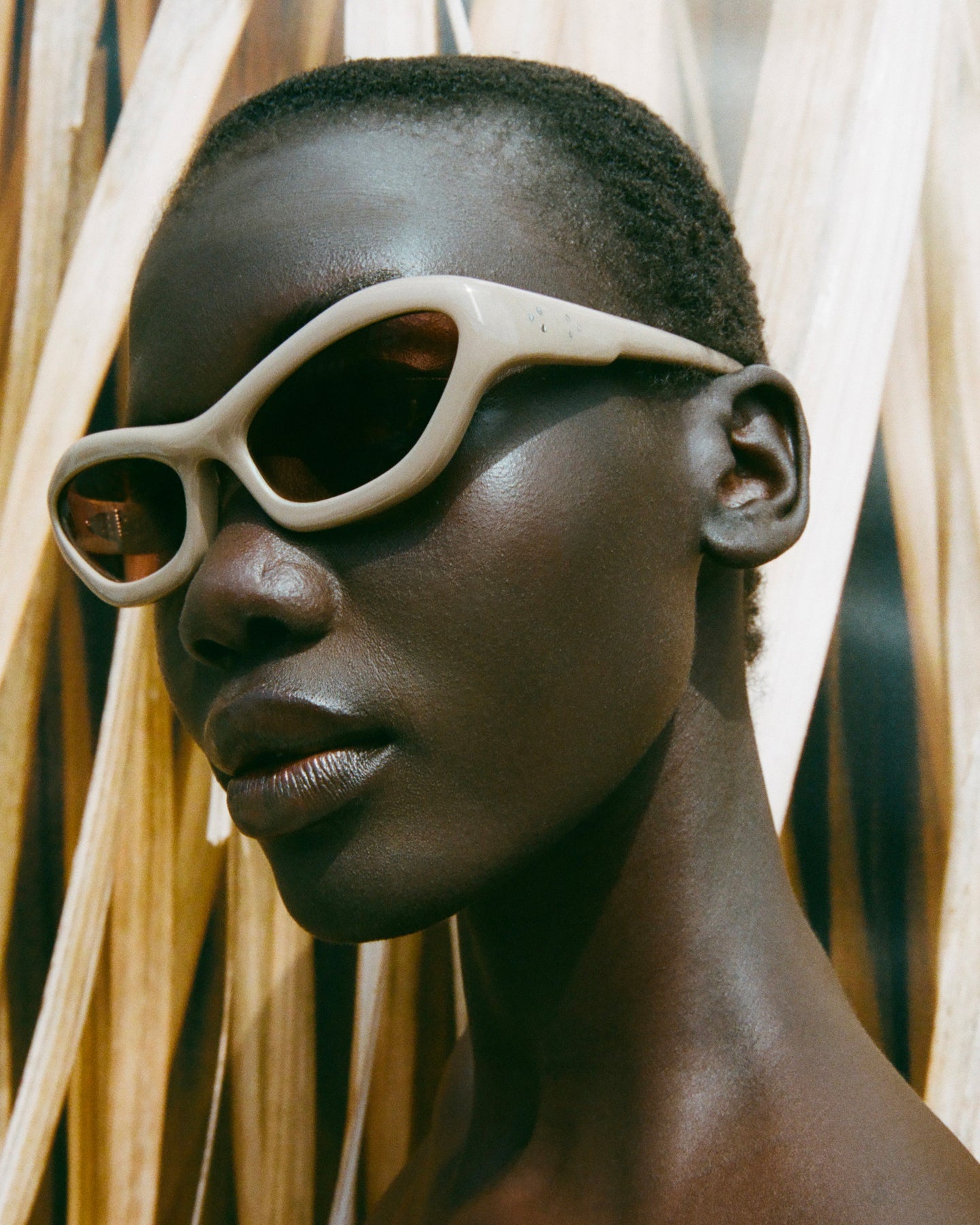 Port Tanger Luxury Eyewear | Handmade in Japan